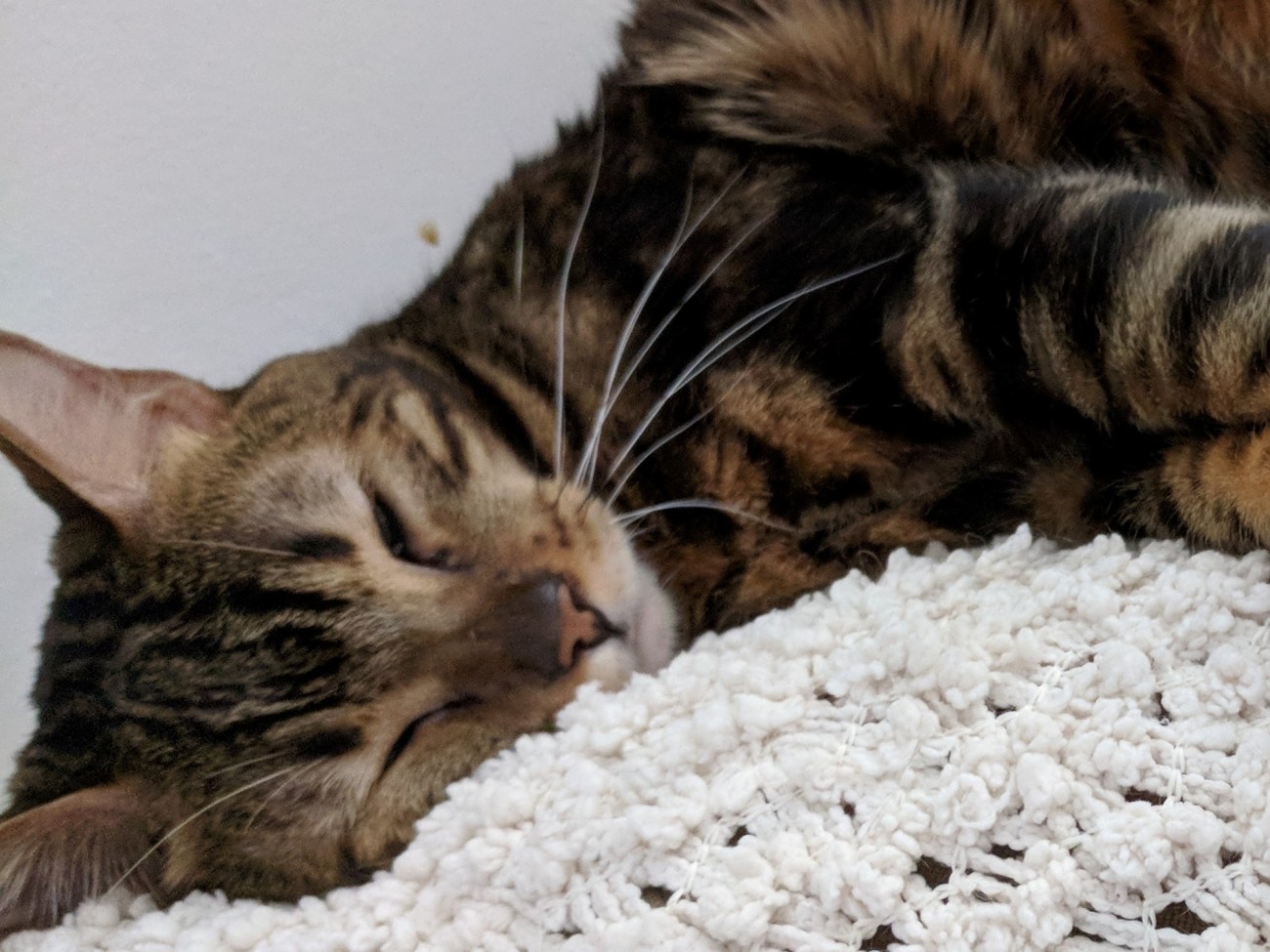 IMG_20171028_002043 (2)